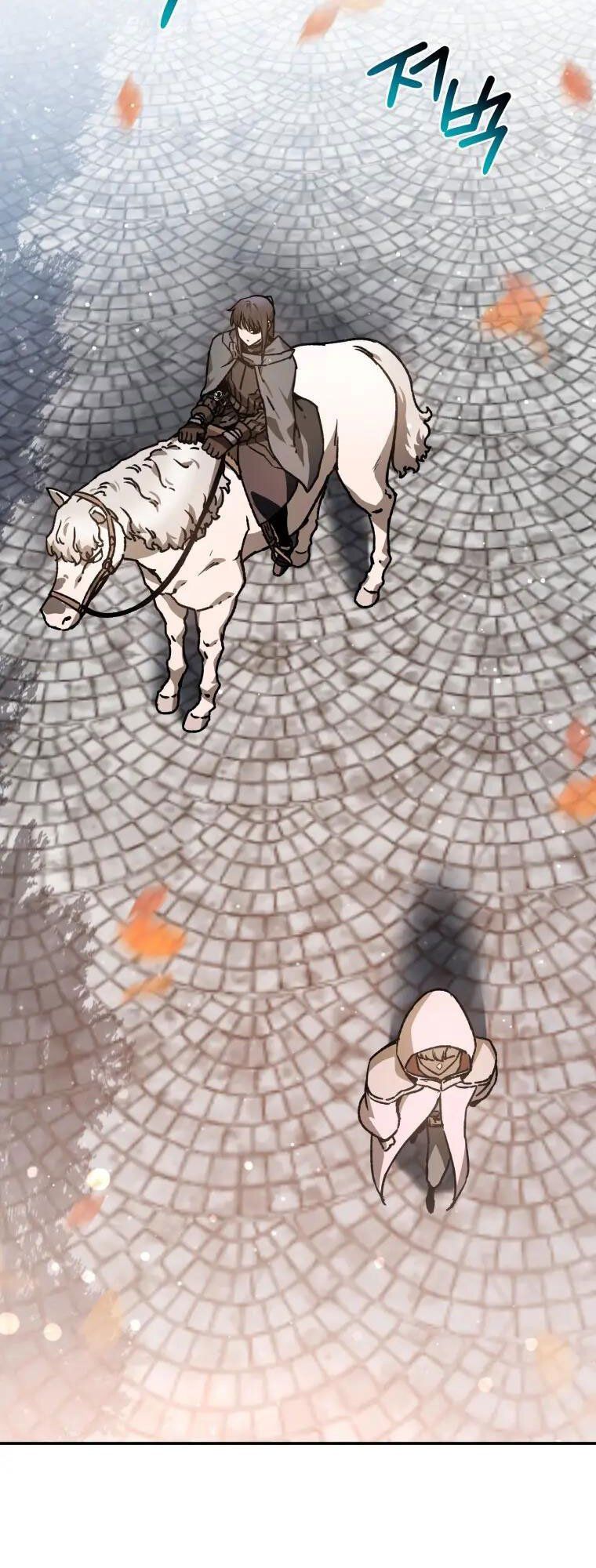 đọc truyện Helmut Đứa Trẻ Bị Ruồng Bỏ Chương 26 ảnh 18 tại Thiên Thai Truyện