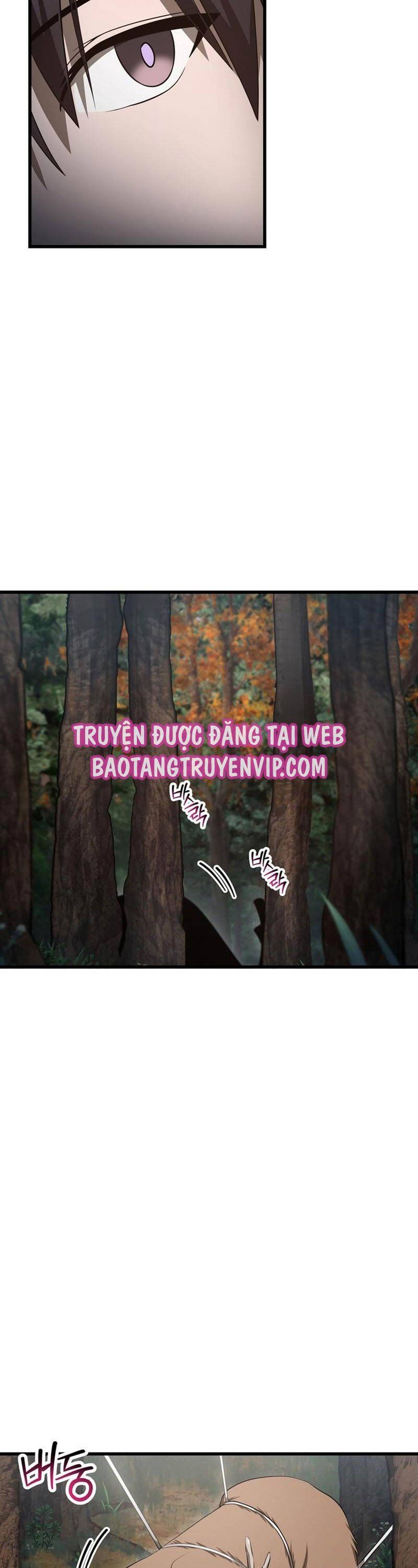 đọc truyện Helmut Đứa Trẻ Bị Ruồng Bỏ Chương 71 ảnh 8 tại Thiên Thai Truyện