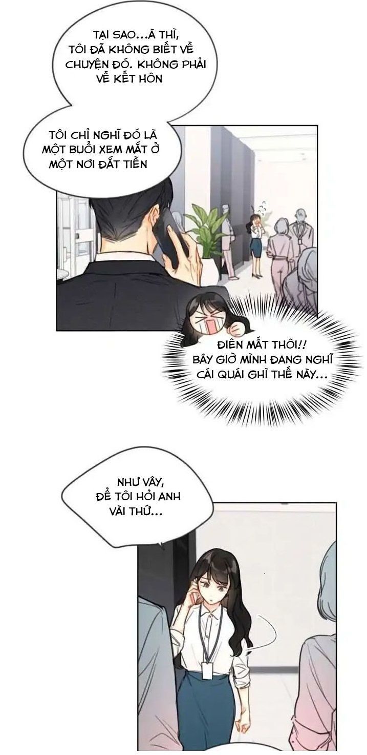 đọc truyện Hẹn Hò Chốn Công Sở Chương 1 ảnh 9 tại Giả Dược