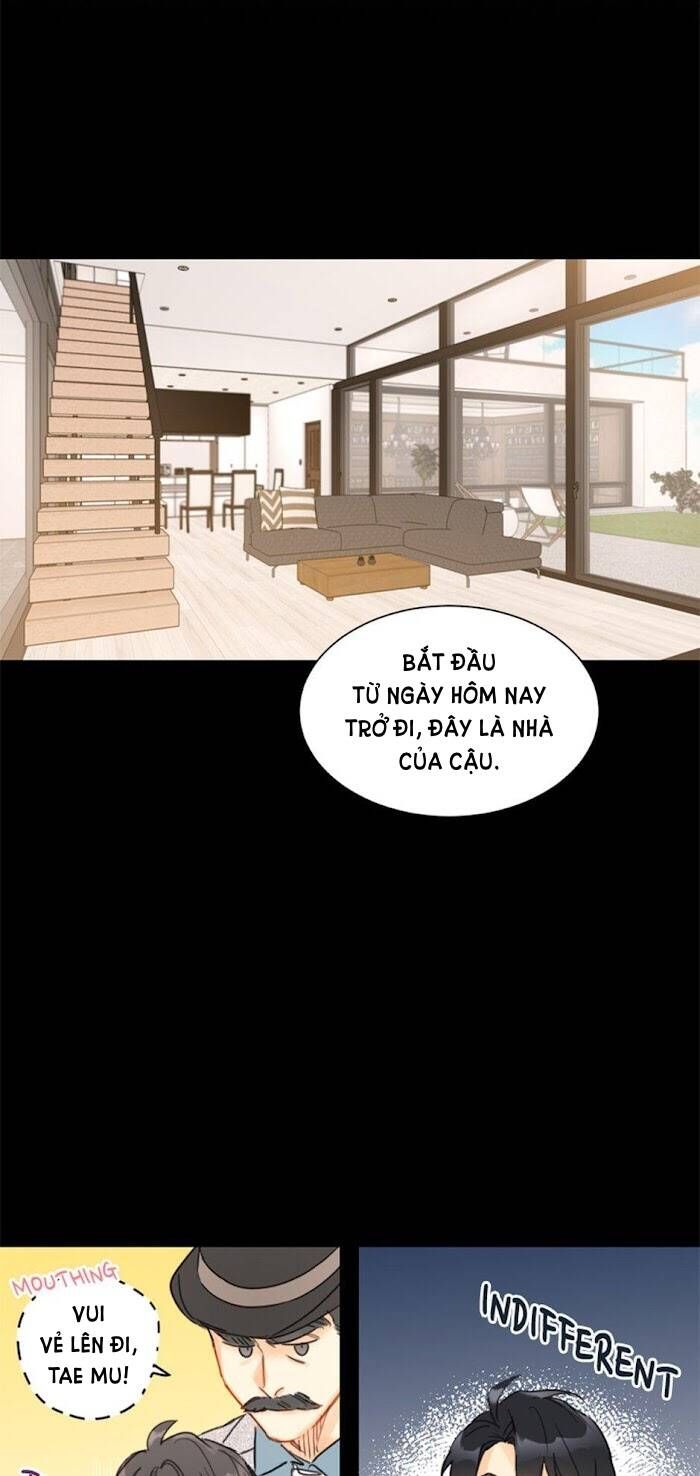 đọc truyện Hẹn Hò Chốn Công Sở Chương 23 ảnh 4 tại Giả Dược