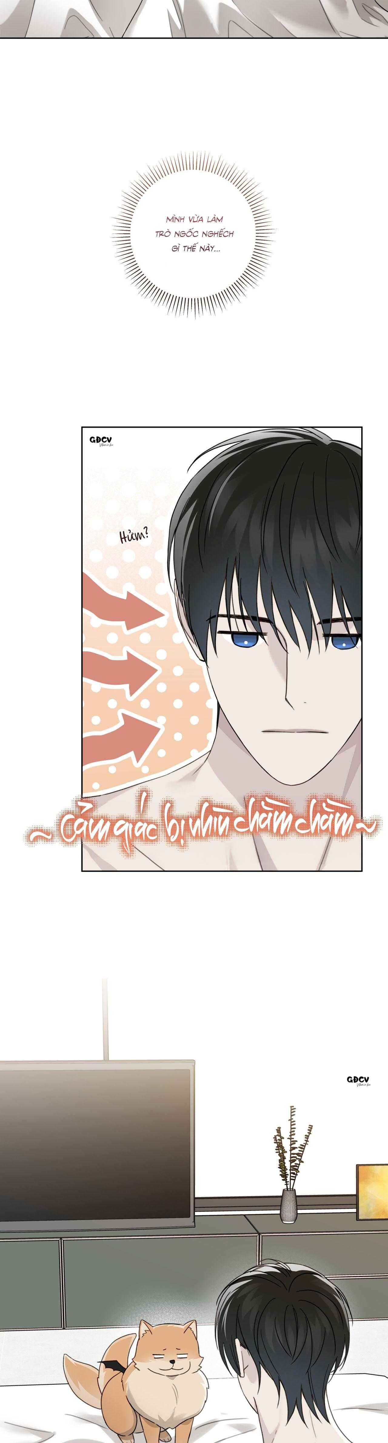 đọc truyện Hiểm Họa Guiding Chương 49 ảnh 8 tại Thiên Thai Truyện