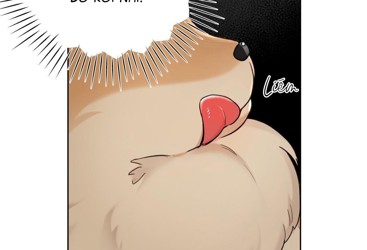 đọc truyện Hiểm Họa Guiding Chương 7 ảnh 29 tại Thiên Thai Truyện