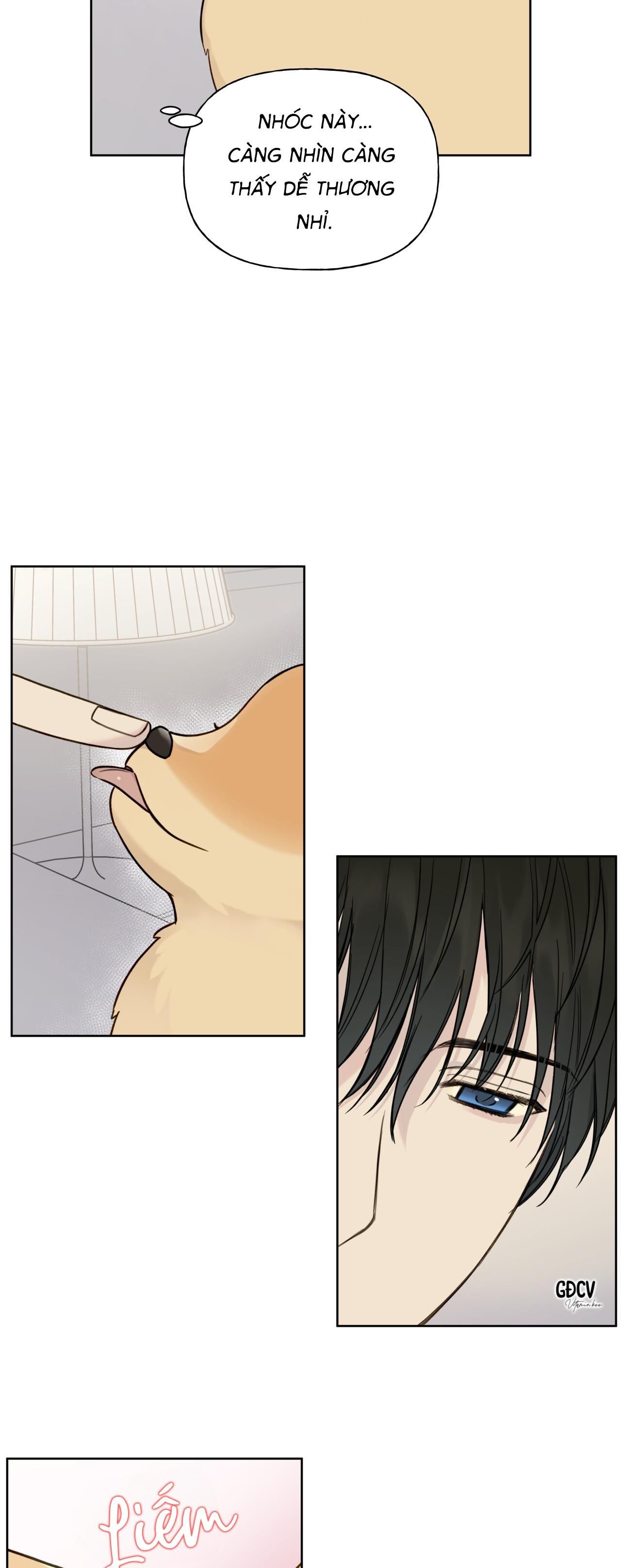 đọc truyện Hiểm Họa Guiding Chương 8 ảnh 19 tại Thiên Thai Truyện