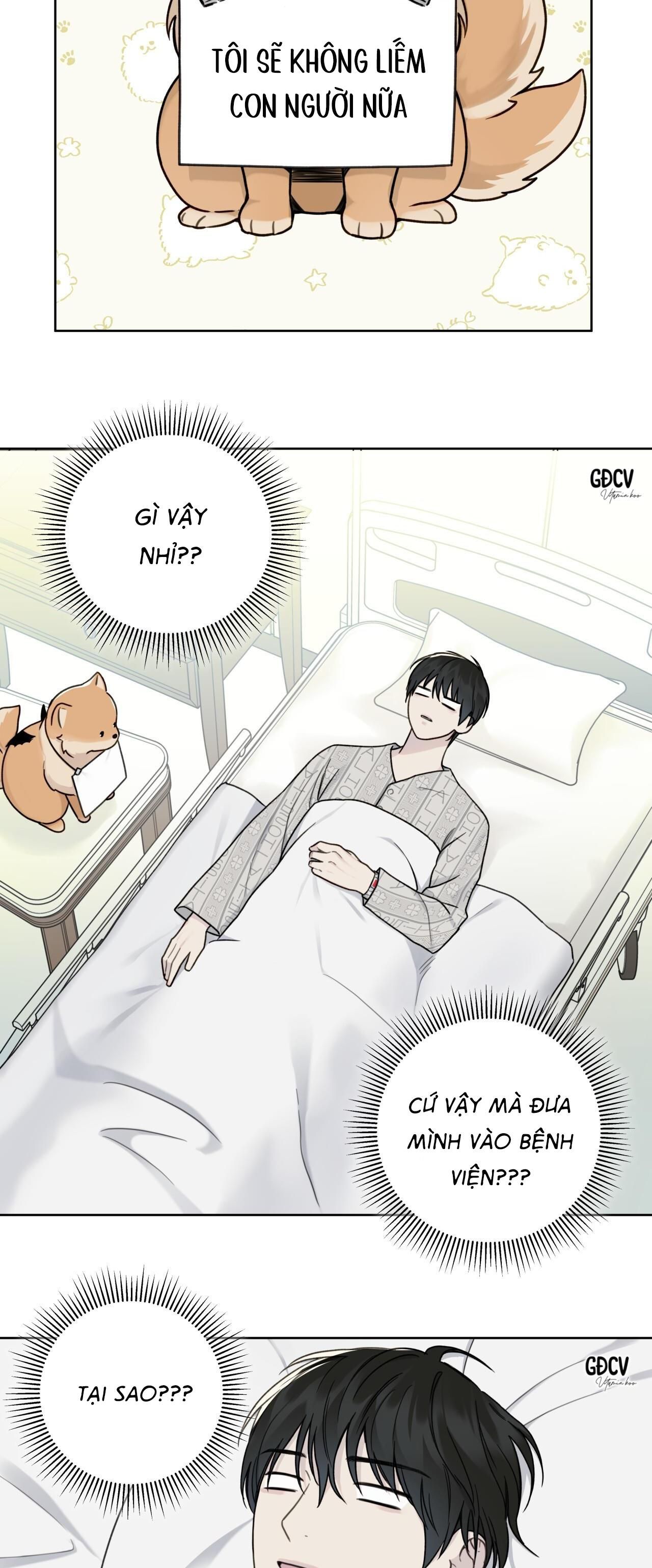 đọc truyện Hiểm Họa Guiding Chương 9 ảnh 18 tại Thiên Thai Truyện