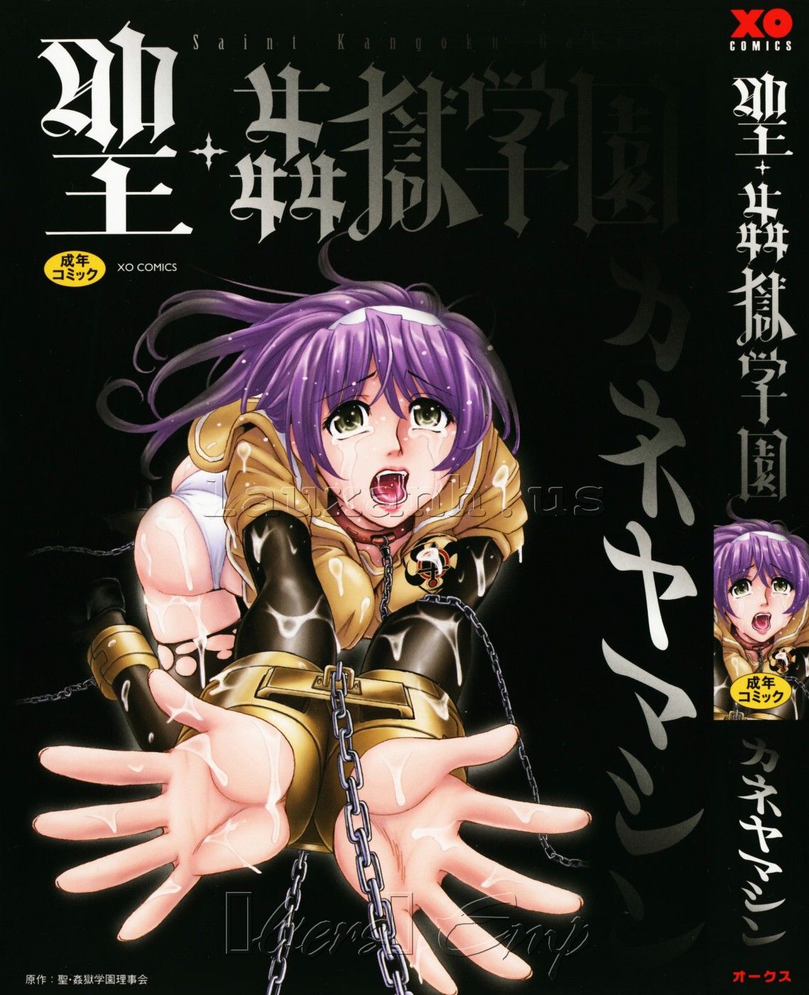 đọc truyện Hijiri Kangoku Gakuen Chương 1 ảnh 3 tại Giả Dược