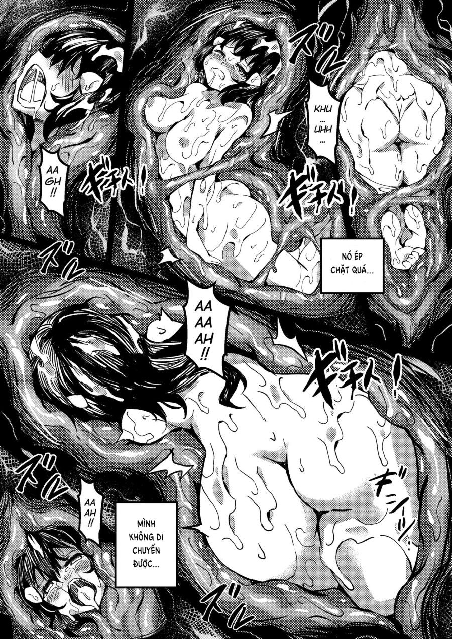 Hikari Và Nàng Nhện. Chương 0 page 12 - Giả Dược