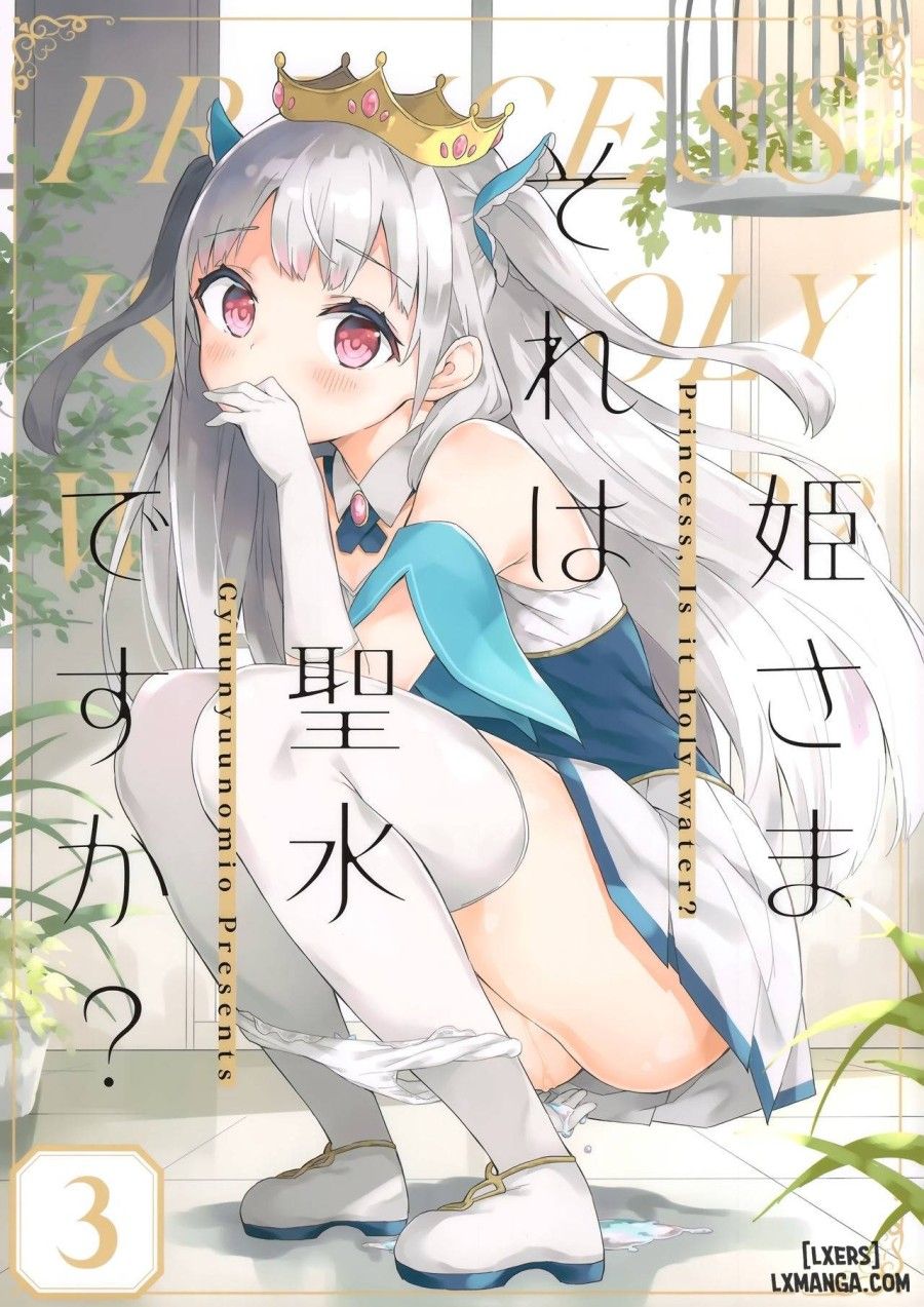 Hime-sama Sore Wa Seisui Desu Ka? 3 Oneshot page 3 - Giả Dược