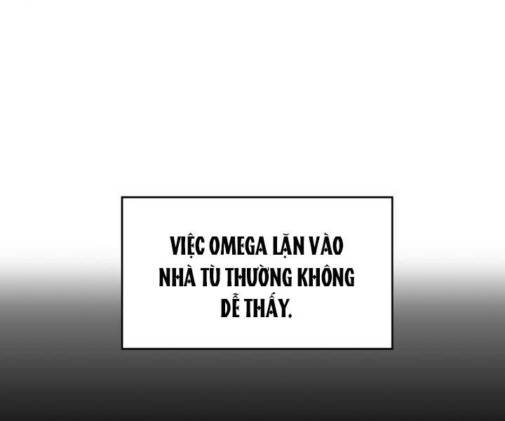 đọc truyện Hình Bóng Của Sự Tái Ngộ Chương 1 ảnh 62 tại Thiên Thai Truyện