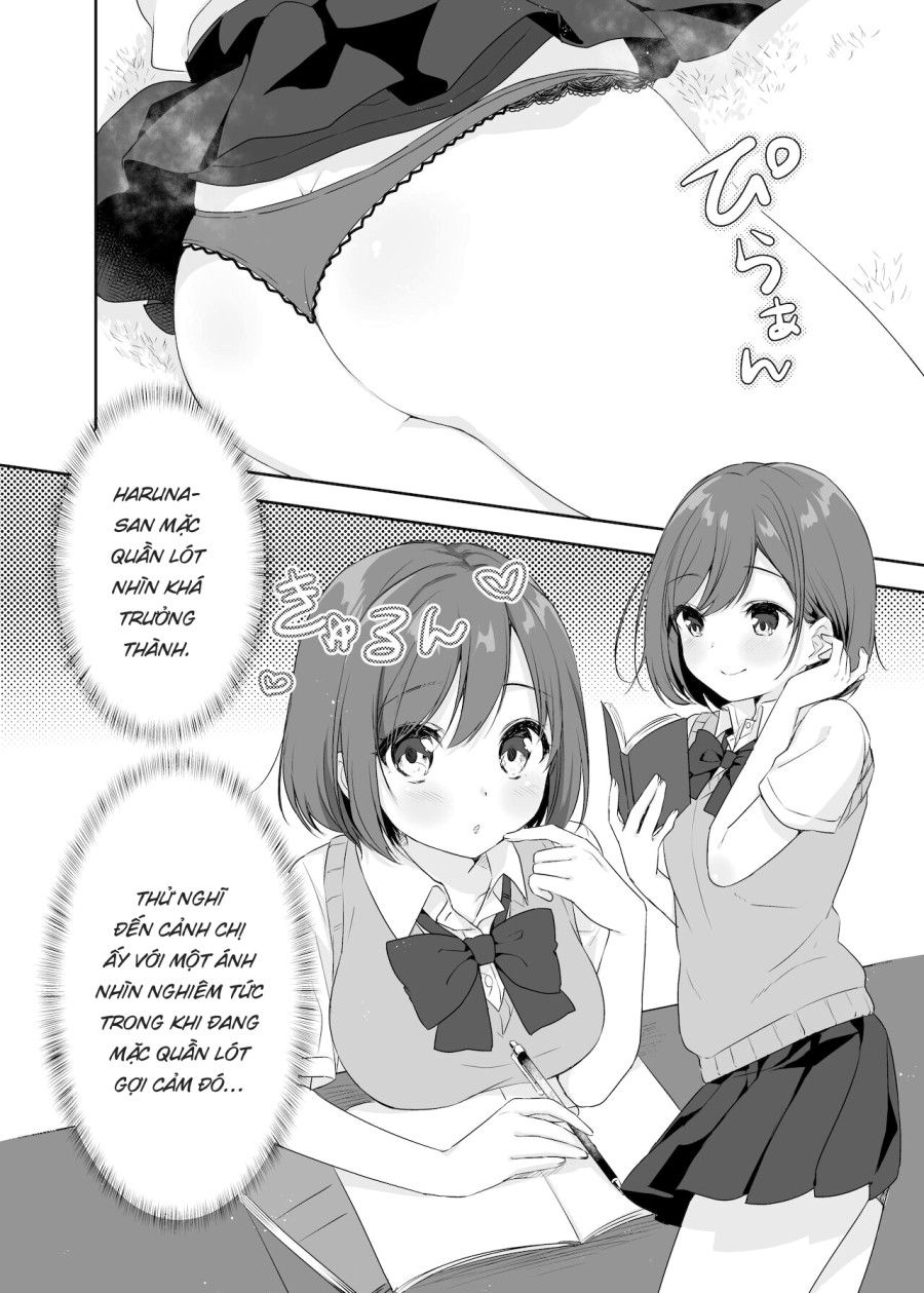 Họ Tỉnh Giấc Khi Tôi Đang Cố Hiếp Chị Gái Và Bạn Của Bà Ấy Trong Khi Họ Đang Ngủ. Oneshot page 6 - Giả Dược