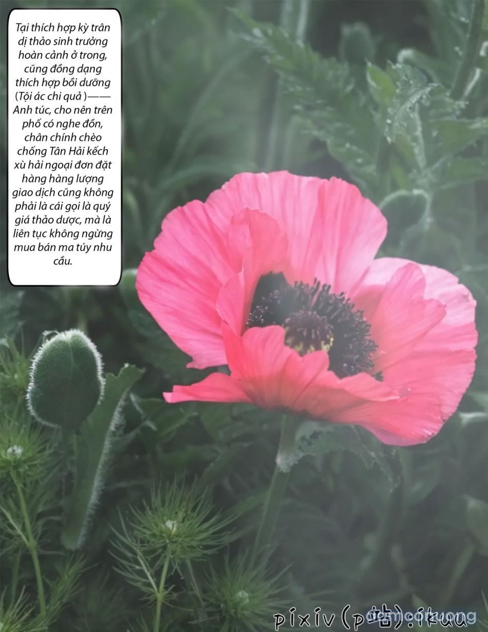 đọc truyện Hoa Hồng Trầm Luân Chương 1 ảnh 3 tại Thiên Thai Truyện