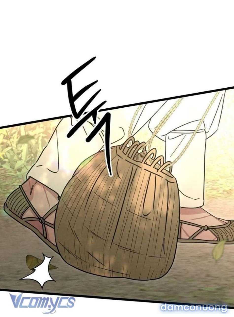 đọc truyện Hoa Lam Tinh Chương 36 ảnh 26 tại Thiên Thai Truyện