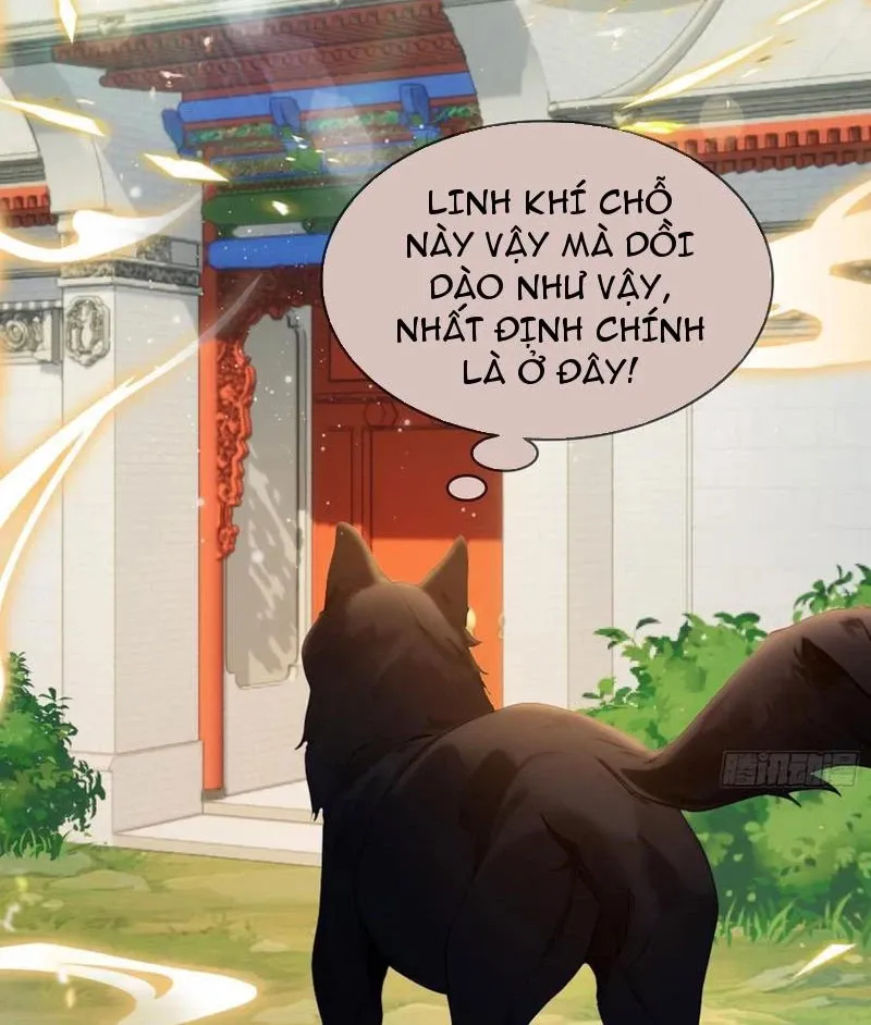 đọc truyện Hoá Ra Ta Đã Vô Địch Từ Lâu Chương 179 ảnh 12 tại Truyện Dạ Ký