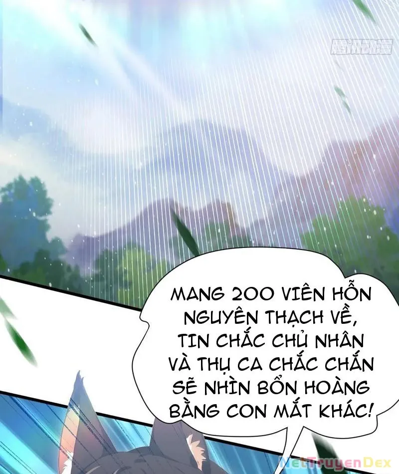 đọc truyện Hoá Ra Ta Đã Vô Địch Từ Lâu Chương 224 ảnh 16 tại Truyện Dạ Ký