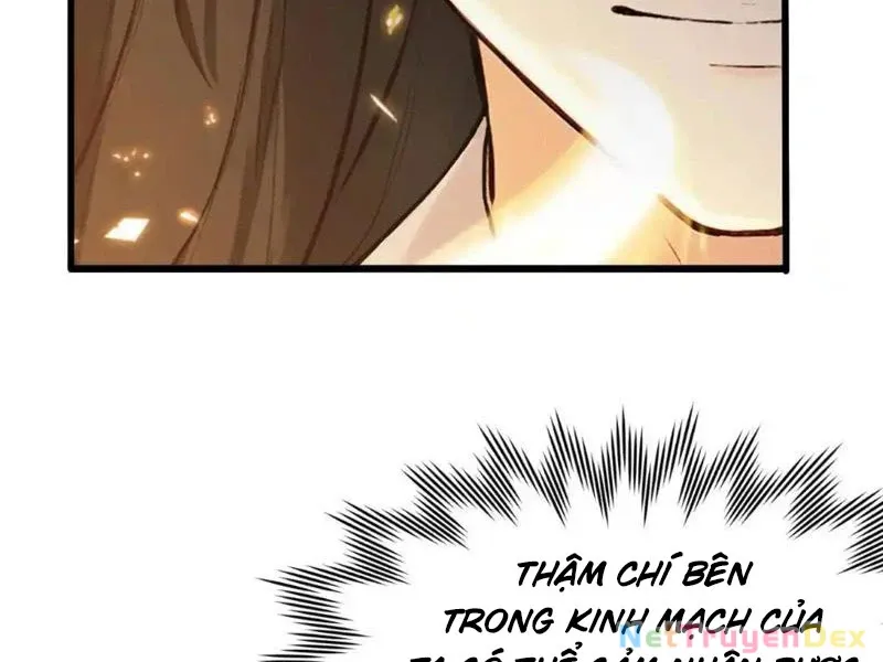 đọc truyện Hoá Ra Ta Đã Vô Địch Từ Lâu Chương 225 ảnh 33 tại Truyện Dạ Ký