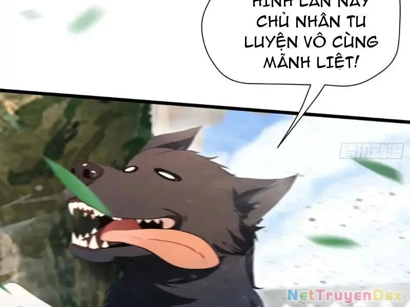 đọc truyện Hoá Ra Ta Đã Vô Địch Từ Lâu Chương 225 ảnh 42 tại Truyện Dạ Ký