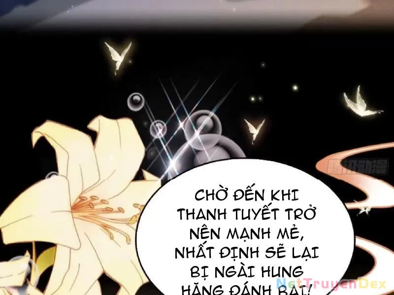 đọc truyện Hoá Ra Ta Đã Vô Địch Từ Lâu Chương 226 ảnh 82 tại Truyện Dạ Ký