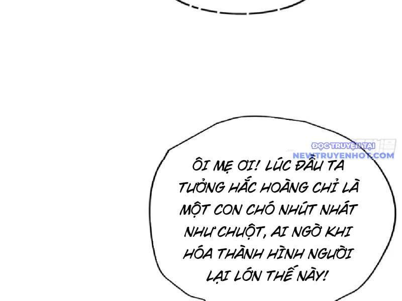 đọc truyện Hoá Ra Ta Đã Vô Địch Từ Lâu Chương 235 ảnh 49 tại Truyện Dạ Ký
