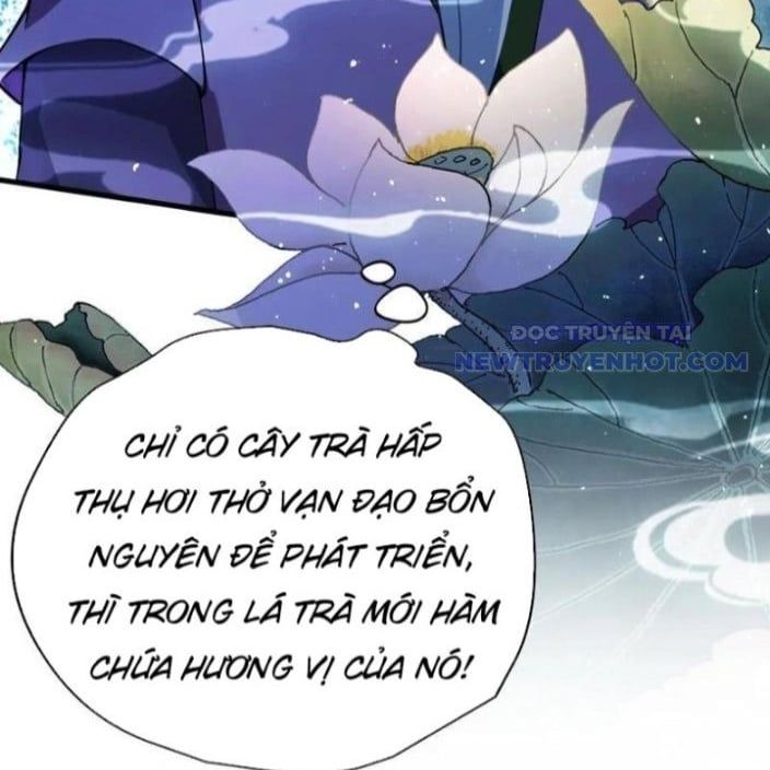 đọc truyện Hoá Ra Ta Đã Vô Địch Từ Lâu Chương 249 ảnh 93 tại Truyện Dạ Ký