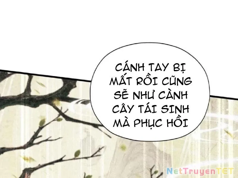 đọc truyện Hoá Ra Ta Đã Vô Địch Từ Lâu Chương 251 ảnh 66 tại Truyện Dạ Ký