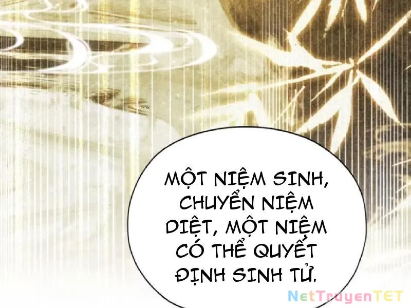 đọc truyện Hoá Ra Ta Đã Vô Địch Từ Lâu Chương 251 ảnh 82 tại Truyện Dạ Ký