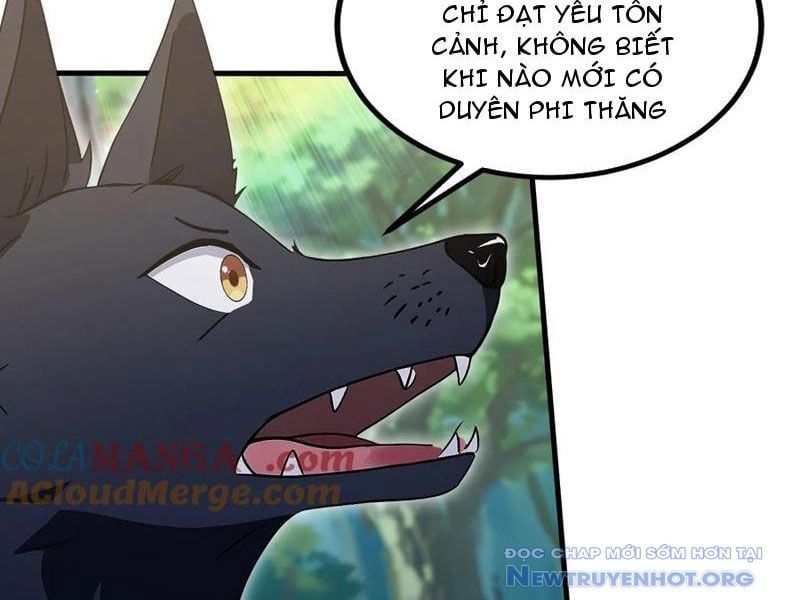 đọc truyện Hoá Ra Ta Đã Vô Địch Từ Lâu Chương 302 ảnh 21 tại Truyện Dạ Ký