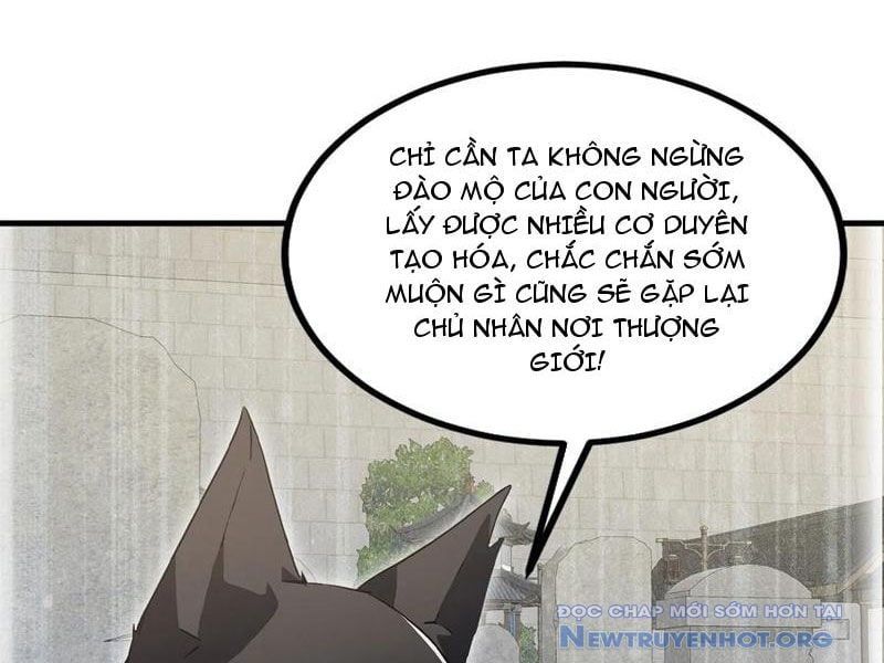 đọc truyện Hoá Ra Ta Đã Vô Địch Từ Lâu Chương 302 ảnh 24 tại Truyện Dạ Ký