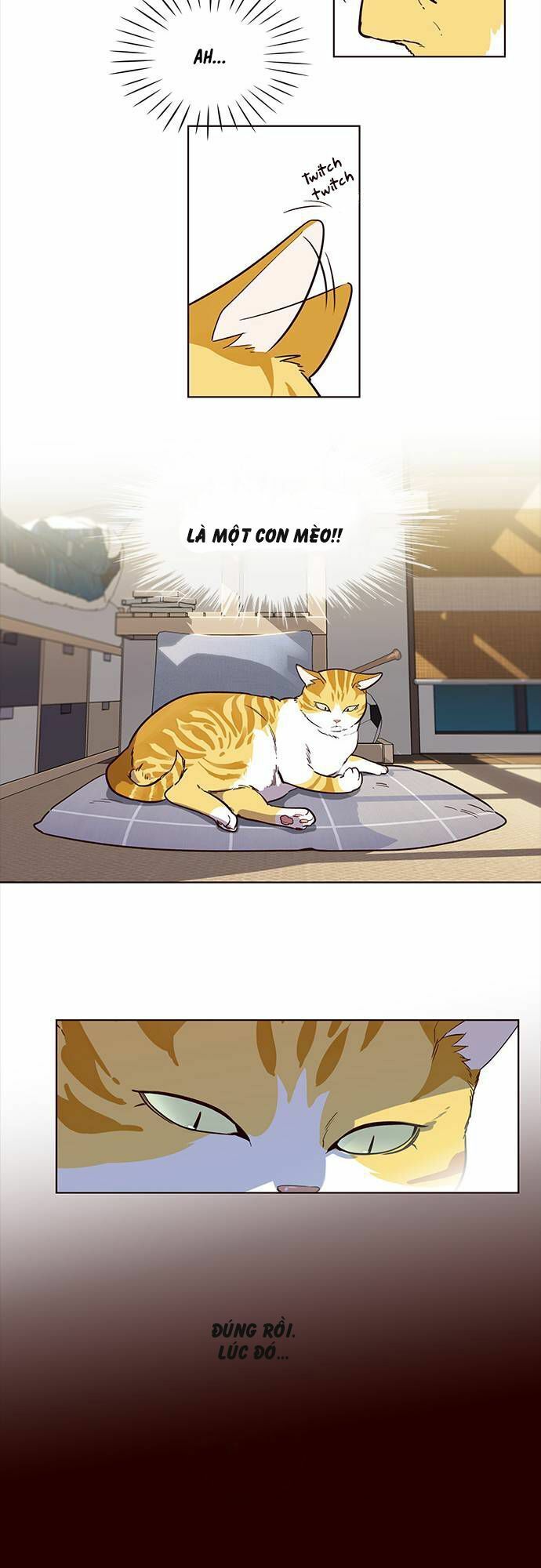 đọc truyện Hóa Thân Thành Mèo Chương 1 ảnh 28 tại Thiên Thai Truyện