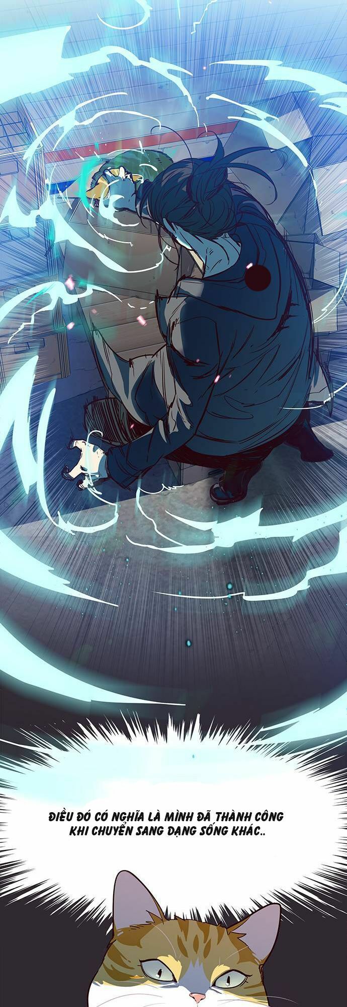 đọc truyện Hóa Thân Thành Mèo Chương 1 ảnh 30 tại Thiên Thai Truyện