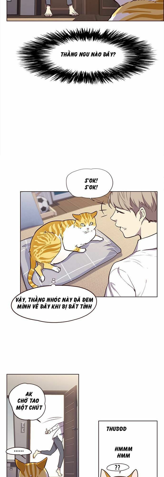 đọc truyện Hóa Thân Thành Mèo Chương 1 ảnh 32 tại Thiên Thai Truyện