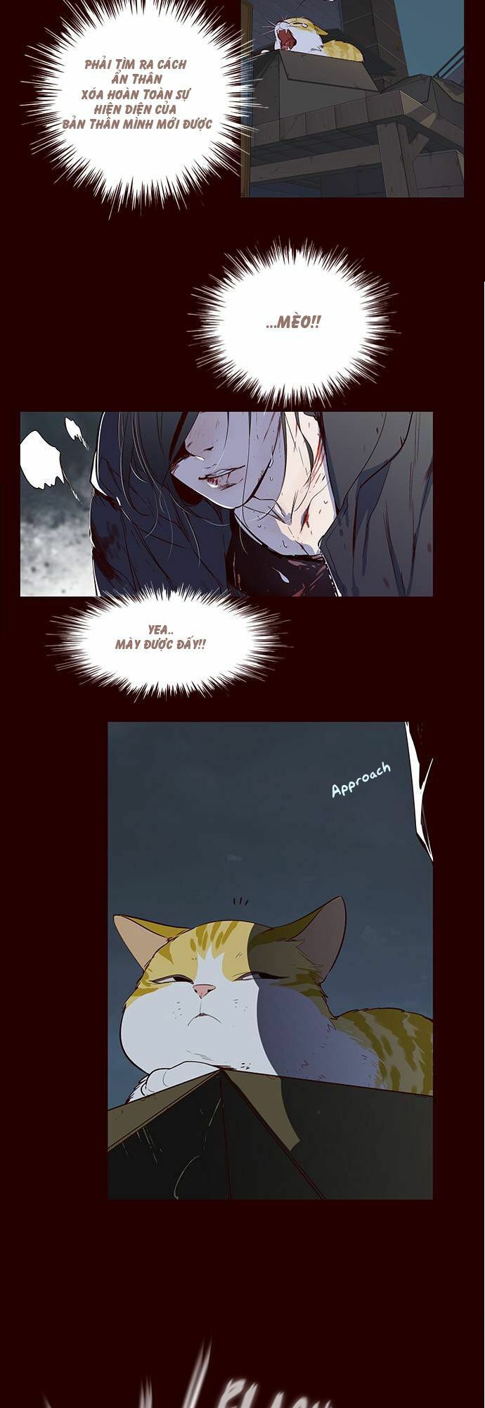 đọc truyện Hóa Thân Thành Mèo Chương 1 ảnh 6 tại Thiên Thai Truyện