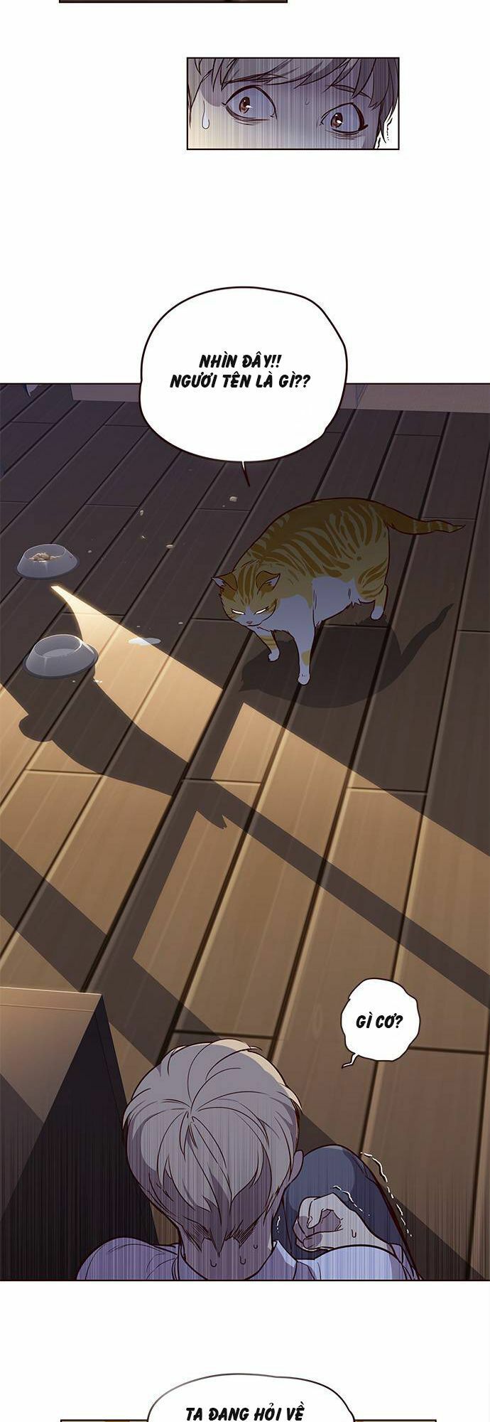 đọc truyện Hóa Thân Thành Mèo Chương 1 ảnh 42 tại Thiên Thai Truyện