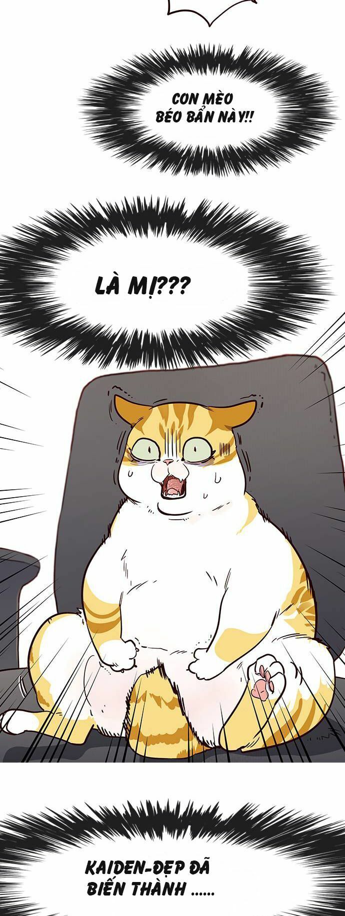 đọc truyện Hóa Thân Thành Mèo Chương 1 ảnh 49 tại Thiên Thai Truyện