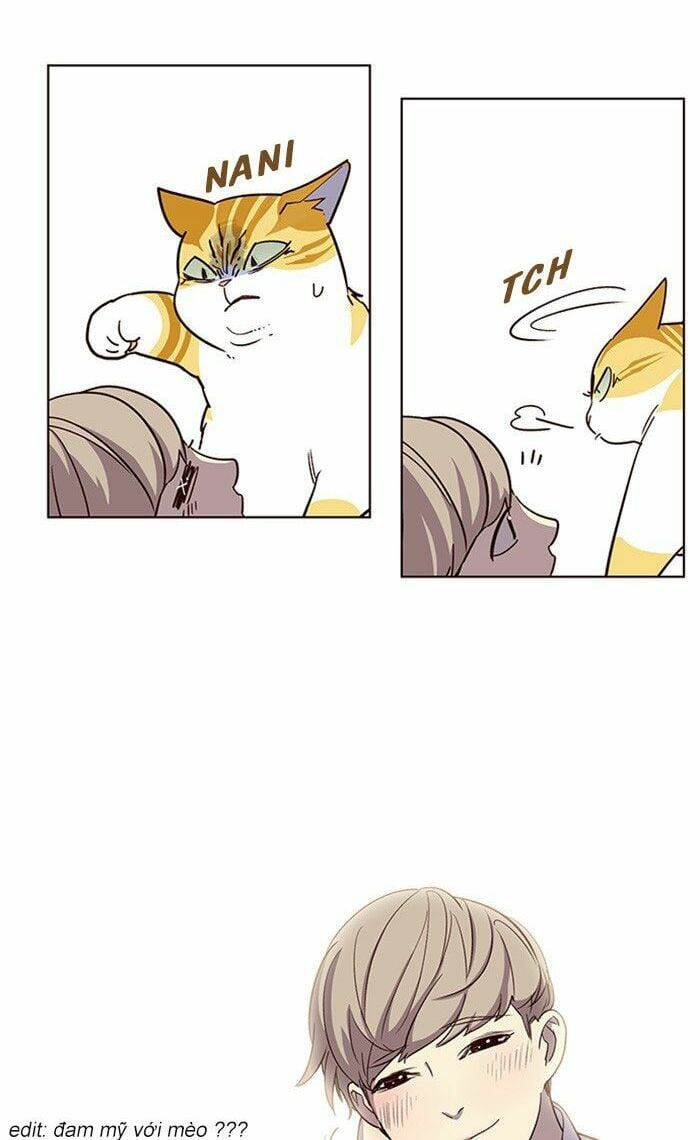 đọc truyện Hóa Thân Thành Mèo Chương 10 ảnh 14 tại Thiên Thai Truyện