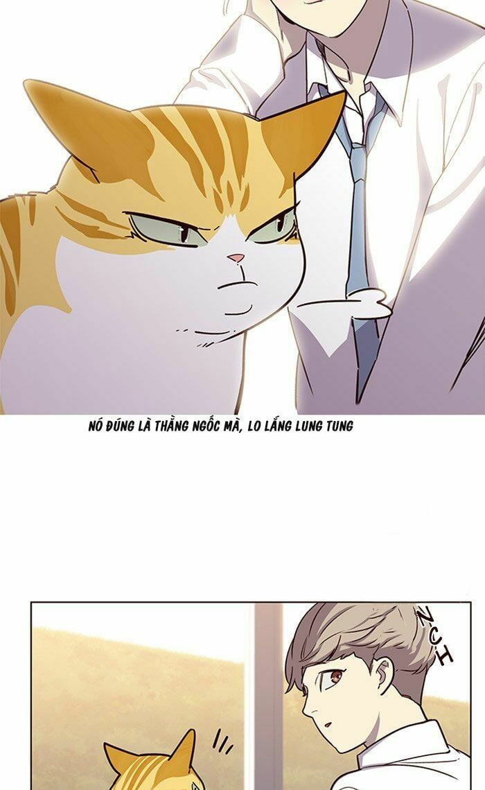 đọc truyện Hóa Thân Thành Mèo Chương 10 ảnh 15 tại Thiên Thai Truyện