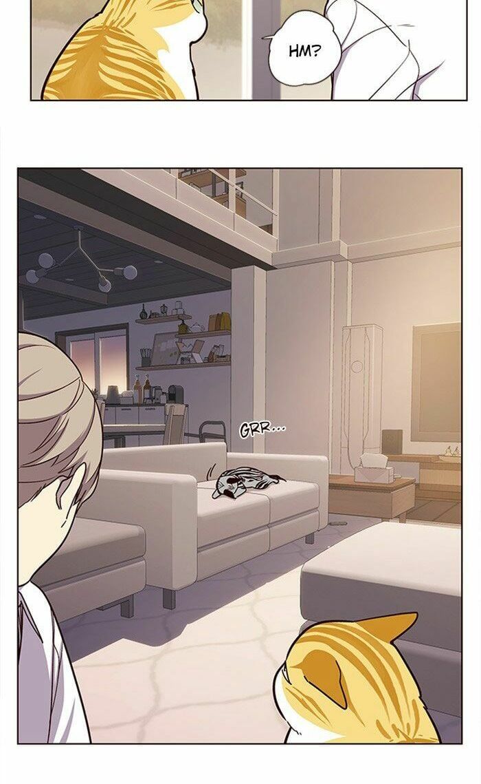 đọc truyện Hóa Thân Thành Mèo Chương 10 ảnh 16 tại Thiên Thai Truyện