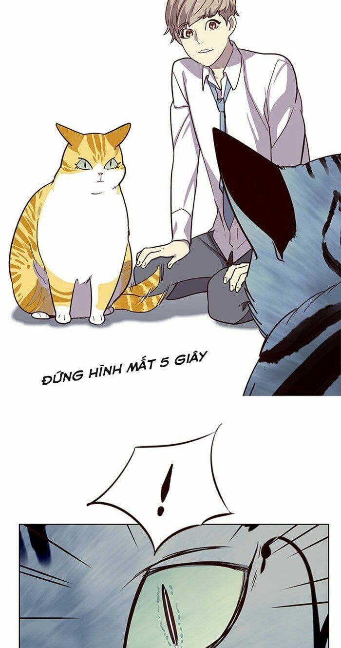 đọc truyện Hóa Thân Thành Mèo Chương 10 ảnh 18 tại Thiên Thai Truyện