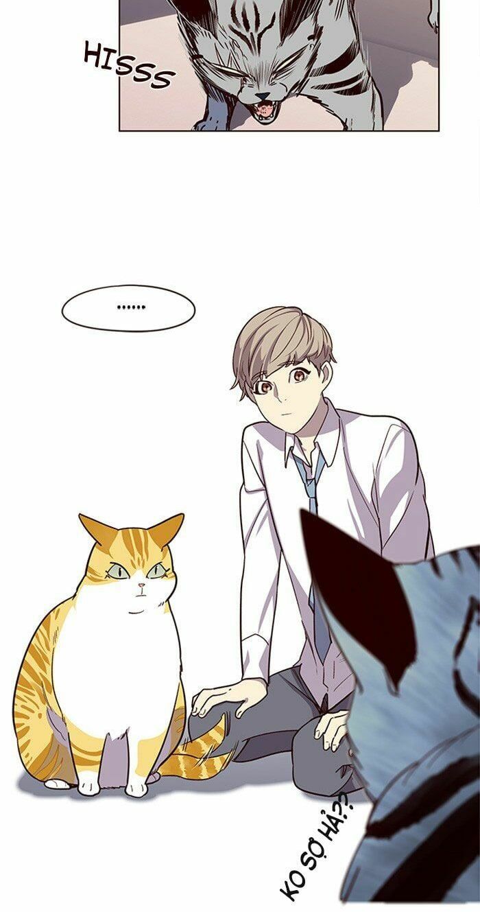 đọc truyện Hóa Thân Thành Mèo Chương 10 ảnh 20 tại Thiên Thai Truyện