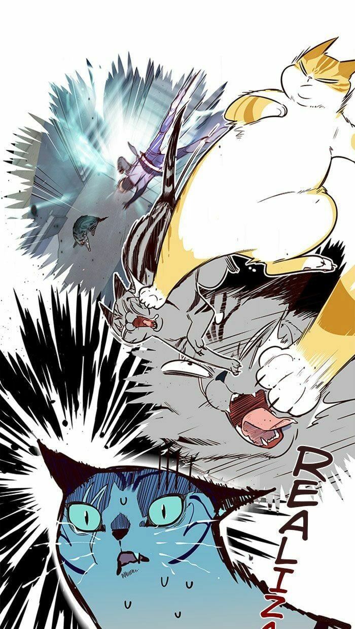 đọc truyện Hóa Thân Thành Mèo Chương 10 ảnh 21 tại Thiên Thai Truyện