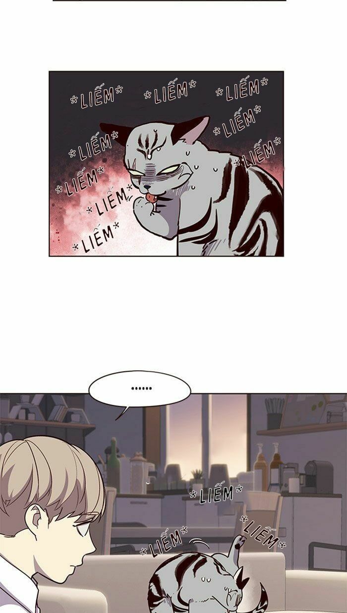 đọc truyện Hóa Thân Thành Mèo Chương 10 ảnh 23 tại Thiên Thai Truyện