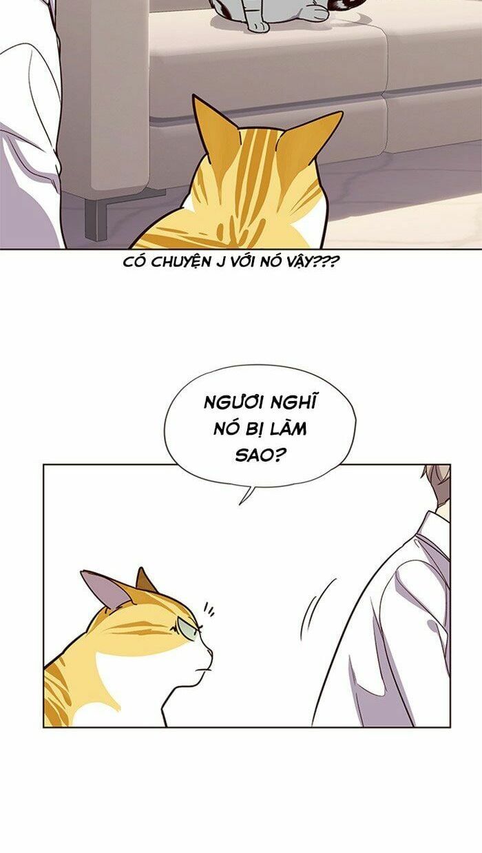 đọc truyện Hóa Thân Thành Mèo Chương 10 ảnh 24 tại Thiên Thai Truyện