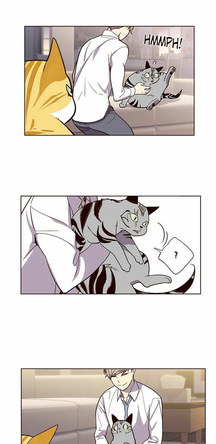 đọc truyện Hóa Thân Thành Mèo Chương 10 ảnh 25 tại Thiên Thai Truyện