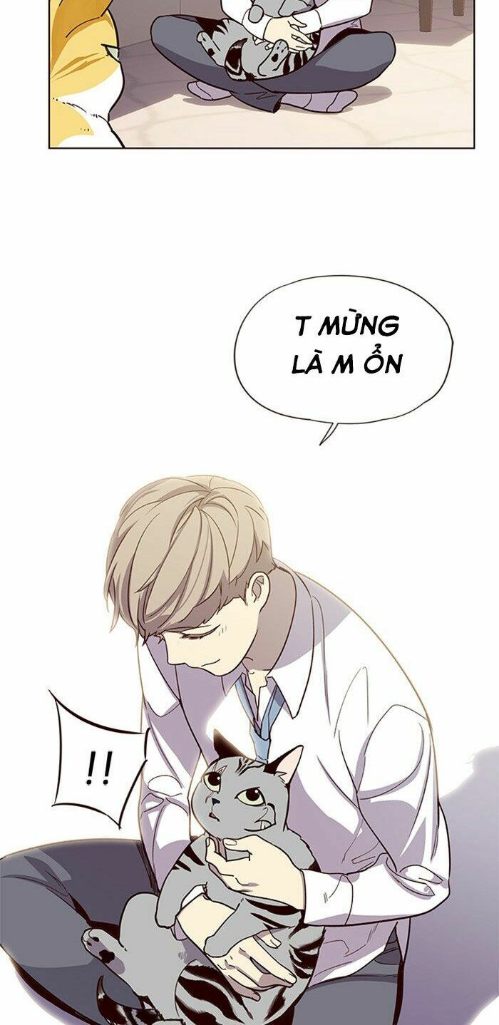 đọc truyện Hóa Thân Thành Mèo Chương 10 ảnh 26 tại Thiên Thai Truyện