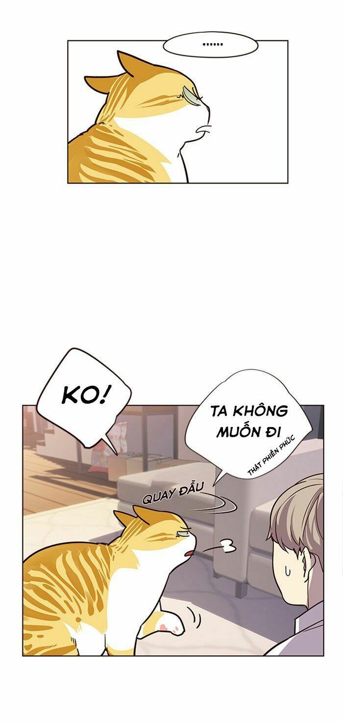 đọc truyện Hóa Thân Thành Mèo Chương 10 ảnh 32 tại Thiên Thai Truyện