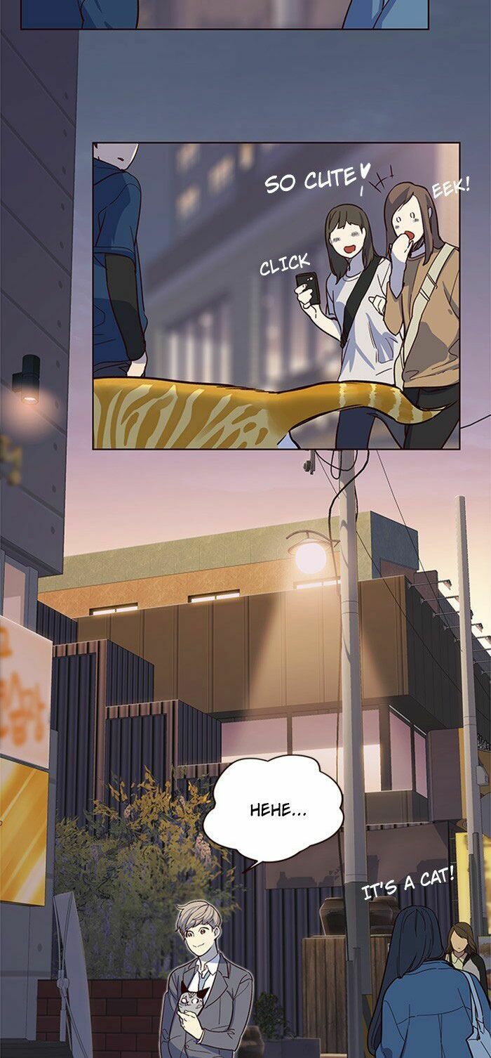 đọc truyện Hóa Thân Thành Mèo Chương 10 ảnh 36 tại Thiên Thai Truyện