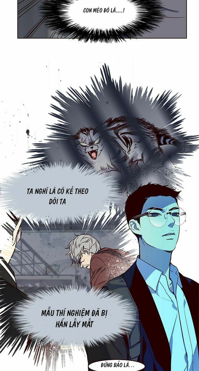 đọc truyện Hóa Thân Thành Mèo Chương 10 ảnh 41 tại Thiên Thai Truyện