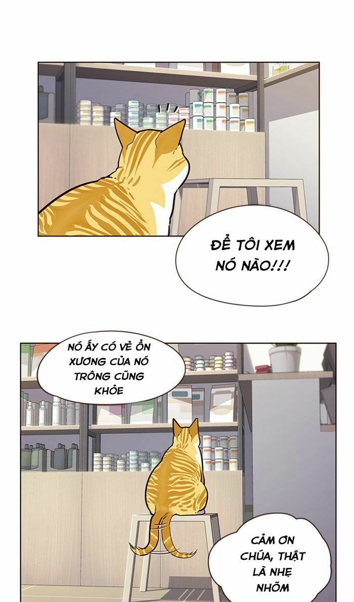 đọc truyện Hóa Thân Thành Mèo Chương 10 ảnh 45 tại Thiên Thai Truyện