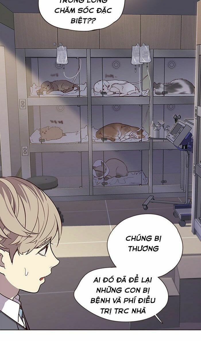 đọc truyện Hóa Thân Thành Mèo Chương 10 ảnh 48 tại Thiên Thai Truyện