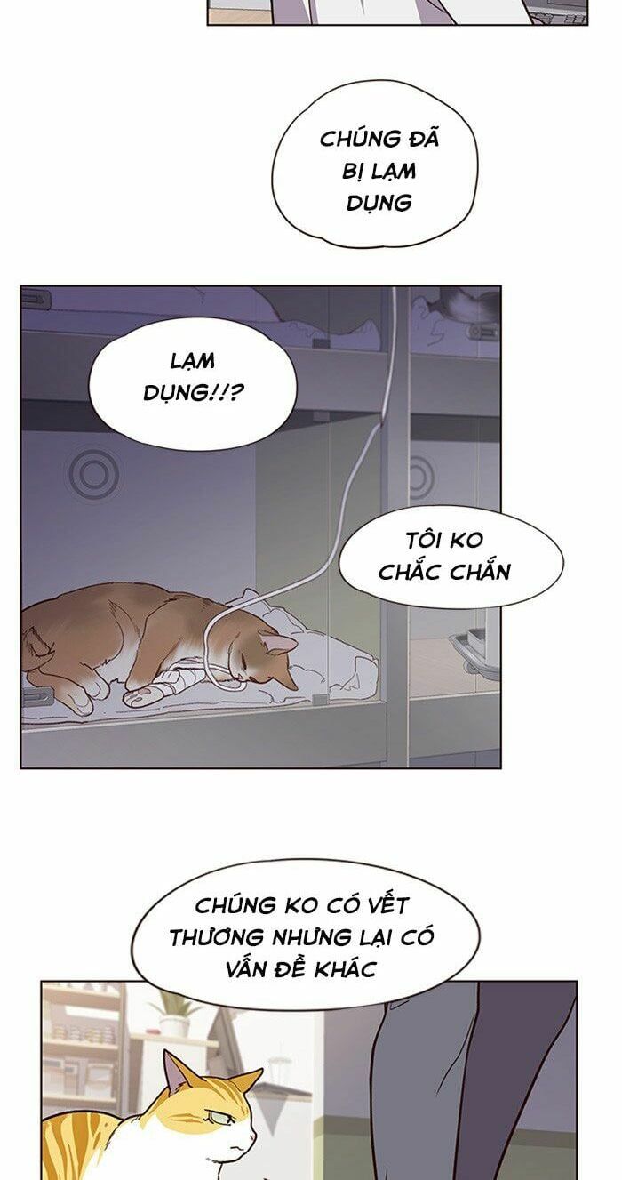 đọc truyện Hóa Thân Thành Mèo Chương 10 ảnh 50 tại Thiên Thai Truyện