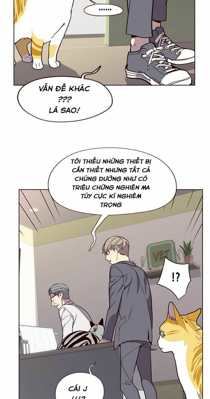 đọc truyện Hóa Thân Thành Mèo Chương 10 ảnh 51 tại Thiên Thai Truyện