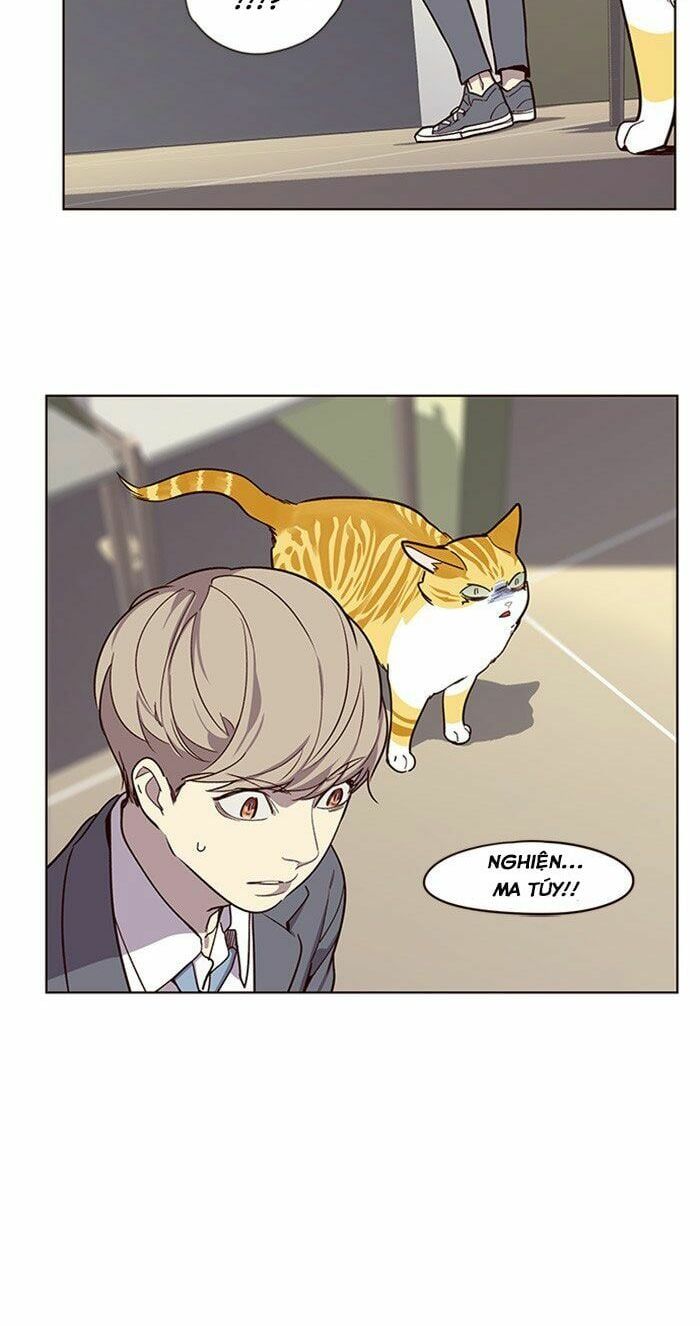 đọc truyện Hóa Thân Thành Mèo Chương 10 ảnh 52 tại Thiên Thai Truyện